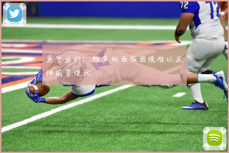 意甲分析：维罗纳面临困境难以反弹前景堪忧
